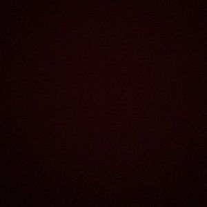 Meet your Posher, Nyla